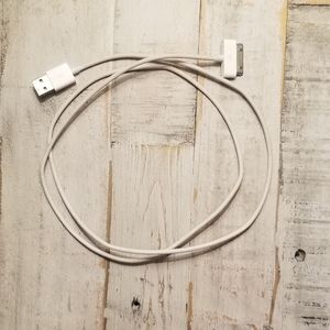 iPhone 4 & ipod charger